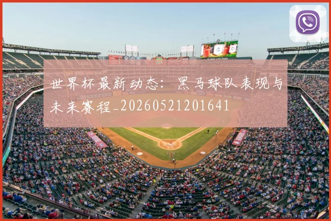 世界杯最新动态：黑马球队表现与未来赛程_20260521201641